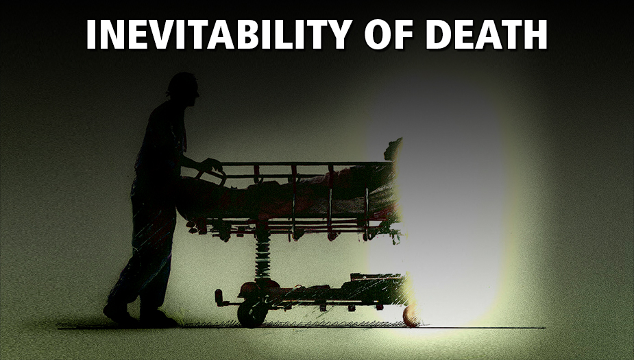 The End of Life and Common Causes of Death. Can We Live Forever?