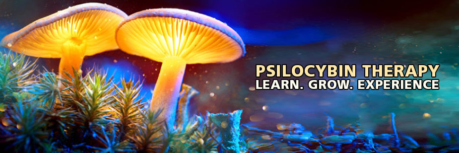 psilocybin therapy growing magic mushrooms hallucinogenic fungi mind-altering substance
